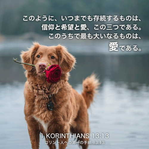 1 KORINTHIANS(コリント人への第一の手紙)13章13節：このように、いつまでも存続するものは、信仰と希望と愛、この三つである。このうちで最も大いなるものは愛である。