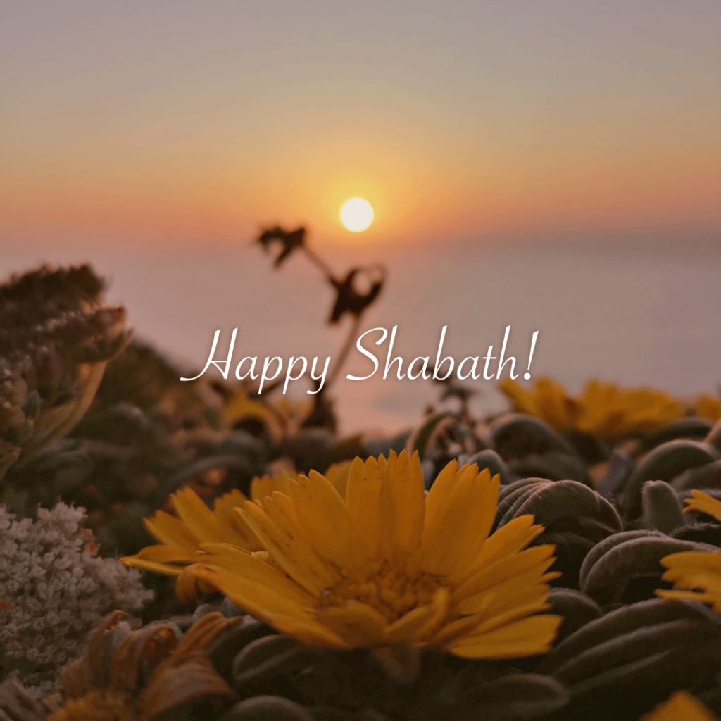 Happy Shabath!