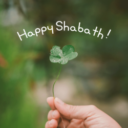 Happy Shabath!