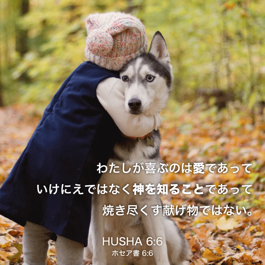 HUSHA(ホセア書)6章6節：わたしが喜ぶのは愛で あっていけにえではなく神を知ることであって 焼き尽くす献げ物ではない。