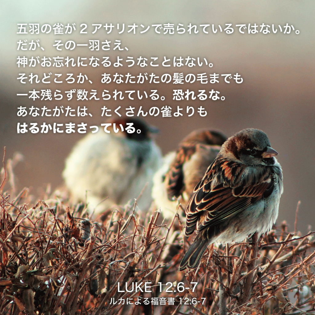 LUKE(ルカによる福音書)12章6節〜7節：五羽の雀が2アサリオンで売られているではないか。だが、その一羽さえ、神がお忘れになるようなことはない。それどころか、あなたがたの髪の毛までも一本残らず数えられている。恐るな。あなたがたは、たくさんの雀よりもはるかにまさっている。