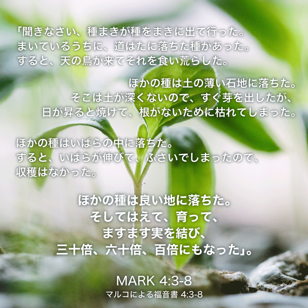 MARK(マルコによる福音書)4章3節〜8節：「聞きなさい、種まきが種をまきに出て行った。 まいているうちに、道ばたに落ちた種があった。すると、天の鳥が来てそれを食い荒らした。 ほかの種は土の薄い石地に落ちた。そこは土が深くないので、すぐ芽を出したが、 日が上ると焼けて、根がないために枯れてしまった。 ほかの種はいばらの中に落ちた。すると、いばらが伸びて、ふさいでしまったので、収穫はなかった。 ほかの種は良い地に落ちた。そしてはえて、育って、ますます実を結び、三十倍、六十倍、百倍にもなった」。