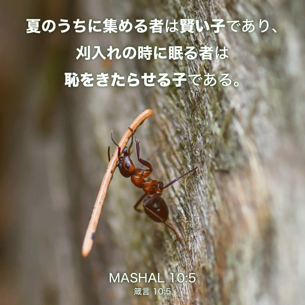 MASHAL(箴言)10章5節：夏のうちに集める者は賢い子であり、刈入れの時に眠る者は恥をきたらせる子である。