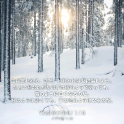 YASHAYAHU(イザヤ書)1章18節：主は言われる、さあ、われわれは互に論じよう。たといあなたがたの罪は緋のようであっても、雪のように白くなるのだ。紅のように赤くても、羊の毛のようになるのだ。