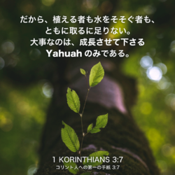 1 KORINTHIANS(コリント人への第一の手紙)3章7節：だから、植える者も水をそそぐ者も、ともに取るに足りない。大事なのは、成長させて下さるYahuahのみである。