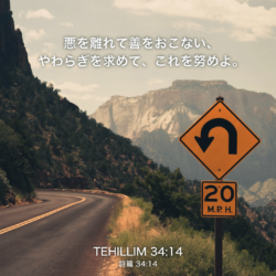 TEHILLIM(詩篇)34章14節：悪を離れて善をおこない、やわらぎを求めて、これを努めよ。