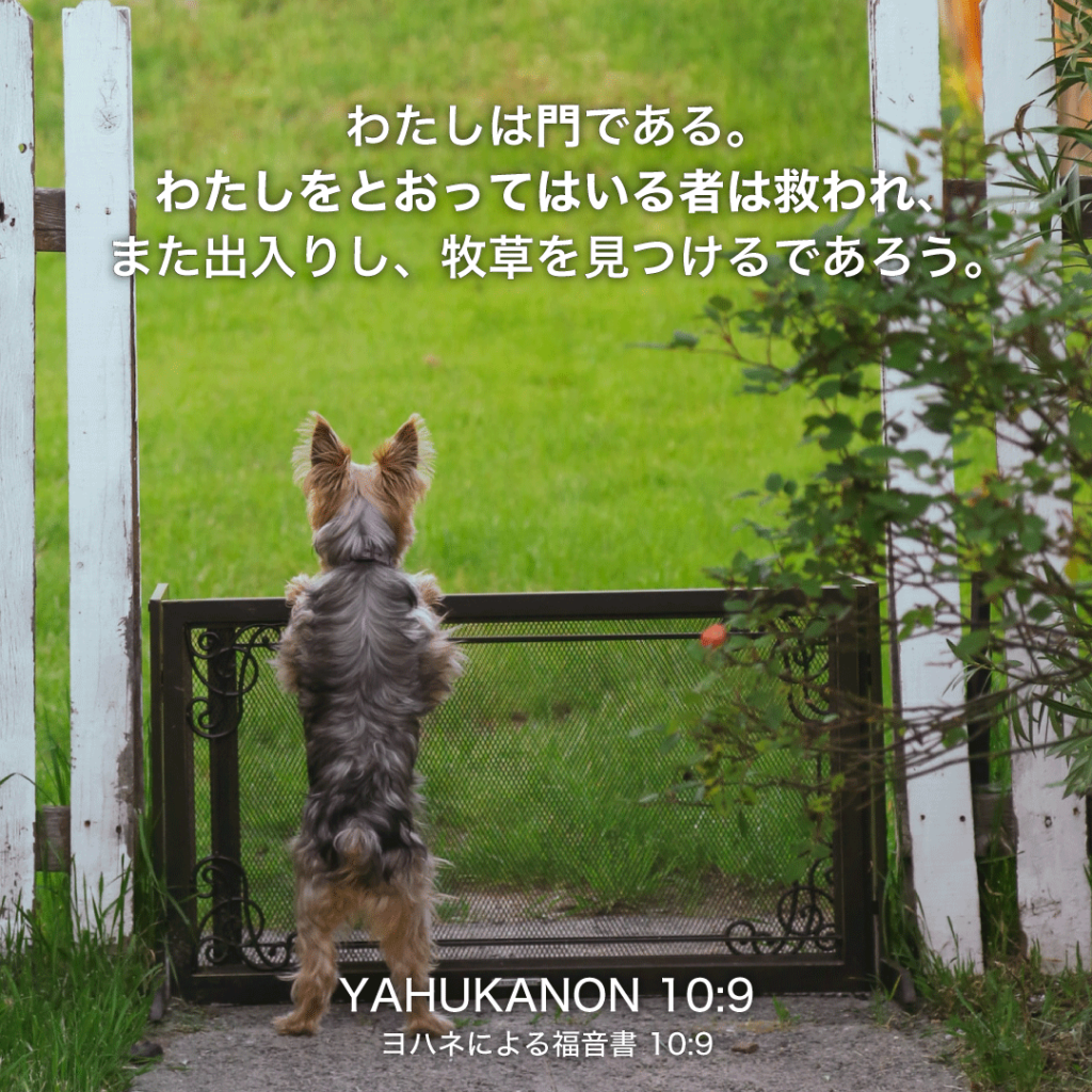 YAHUKANON(ヨハネによる福音書)10章9節：わたしは門である。わたしをとおってはいる者は救われ、また出入りし、牧草を見つけるであろう。