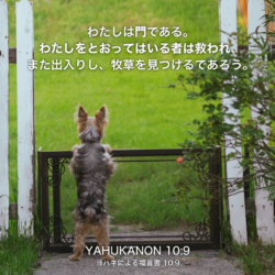 YAHUKANON(ヨハネによる福音書)10章9節：わたしは門である。わたしをとおってはいる者は救われ、また出入りし、牧草を見つけるであろう。