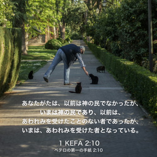 1 KEFA(ペテロの第一の手紙)2章10節：あなたがたは、以前は神の民でなかったが、いまは神の民であり、以前は、あわれみを受けたことのない者であったが、いまは、あわれみを受けた者となっている。