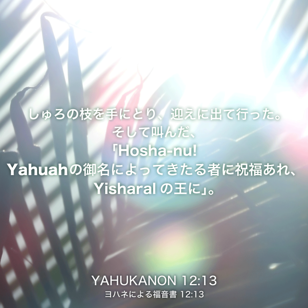 YAHUKANON(ヨハネによる福音書)12章13節：しゅろの枝を手にとり、迎えに出て行った。そして叫んだ、「Hosha-nu! Yahuahの御名によってきたる者に祝福あれ、Yisharalの王に」。