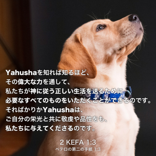 2 KEFA(ペテロの第二の手紙) 1章3節：Yahushaを知れば知るほど、その偉大な力を通して、私たちが神に従う正しい生活を送るために必要なすべてのものをいただくことができるのです。そればかりかYahushaは、ご自分の栄光と共に敬虔や品性をも、私たちに与えてくださるのです。