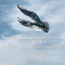 ACTS(使徒行伝) 1章8節：ただ、Ruach ha Qodeshがあなたがたにくだる時、あなたがたは力を受けて、Yerushalim(エルサレム)、Yahudah(ユダ)とShamarun(サマリヤ)の全土、さらに地のはてまで、わたしの証人となるであろう」。