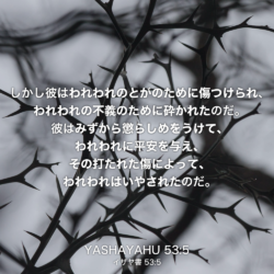 YASHAYAHU(イザヤ書) 53章5節：しかし彼はわれわれのとがのために傷つけられ、 われわれの不義のために砕かれたのだ。彼はみずから懲らしめをうけて、われわれに平安を与え、その打たれた傷によって、われわれはいやされたのだ。