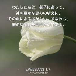 EPHESIANS(エペソ人への手紙) 1章7節：わたしたちは、御子にあって、神の豊かな恵みのゆえに、その血によるあがない、すなわち、罪のゆるしを受けたのである。