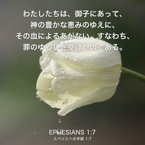 EPHESIANS(エペソ人への手紙) 1章7節：わたしたちは、御子にあって、神の豊かな恵みのゆえに、その血によるあがない、すなわち、罪のゆるしを受けたのである。