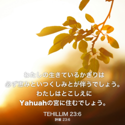 TEHILLIM(詩篇) 23章6節：わたしの生きているかぎりは必ず恵みといつくしみとが伴うでしょう。わたしはとこしえにYahuahの宮に住むでしょう。