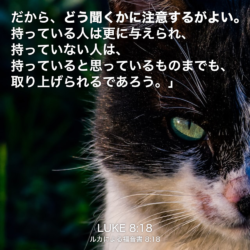 LUKE(ルカによる福音書) 8章18節：だから、どう聞くかに注意するがよい。持っている人は更に与えられ、持っていない人は、持っていると思っているものまでも、取り上げられるであろう。」