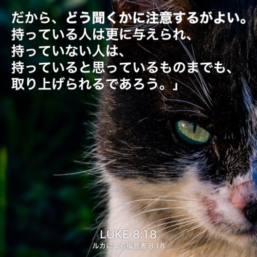 LUKE(ルカによる福音書) 8章18節：だから、どう聞くかに注意するがよい。持っている人は更に与えられ、持っていない人は、持っていると思っているものまでも、取り上げられるであろう。」