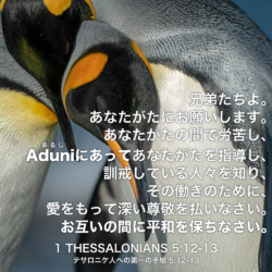 1 THESSALONIANS(テサロニケ人への第一の手紙) 5章12節-13節：兄弟たちよ。あなたがたにお願いします。あなたがたの間で労苦し、Aduni(あるじ)にあってあなたがたを指導し、訓戒している人々を知り、その働きのために、愛をもって深い尊敬を払いなさい。お互いの間に平和を保ちなさい。