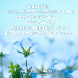 1 THESSALONIANS(テサロニケ人への手紙) 5章9節：Yahuahは、わたしたちを怒りにあわせるように定められたのではなく、わたしたちの主Yahusha Mashiakによって救を得るように定められたのである。