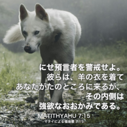 MATITHYAHU(マタイによる福音書) 7章15節：にせ預言者を警戒せよ。彼らは、羊の衣を着てあなたがたのところに来るが、その内側は強欲なおおかみである。