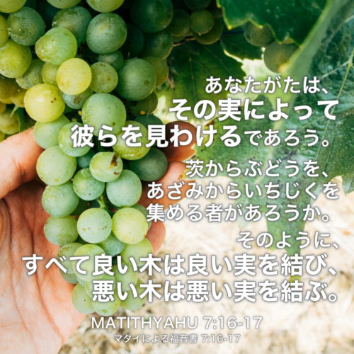 MATITHYAHU(マタイによる福音書) 7章16節-17節：あなたがたは、その実によって彼らを見わけるであろう。茨からぶどうを、あざみからいちじくを集める者があろうか。そのように、すべて良い木は良い実を結び、悪い木は悪い実を結ぶ。