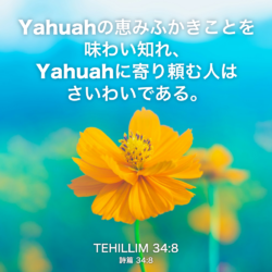 TEHILLIM(詩篇) 34章8節：Yahuahの恵みふかきことを味わい知れ、Yahuahに寄り頼む人はさいわいである。