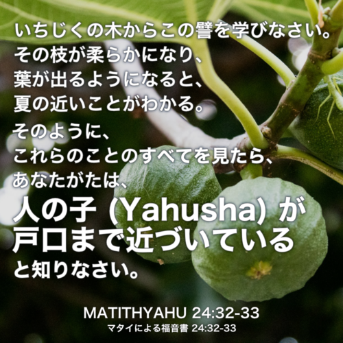 MATITHYAHU(マタイによる福音書) 24章32節-33節：いちじくの木からこの譬を学びなさい。その枝が柔らかになり、葉が出るようになると、夏の近いことがわかる。そのように、これらのことのすべてを見たら、あなたがたは、人の子 (Yahusha) が戸口まで近づいていると知りなさい。