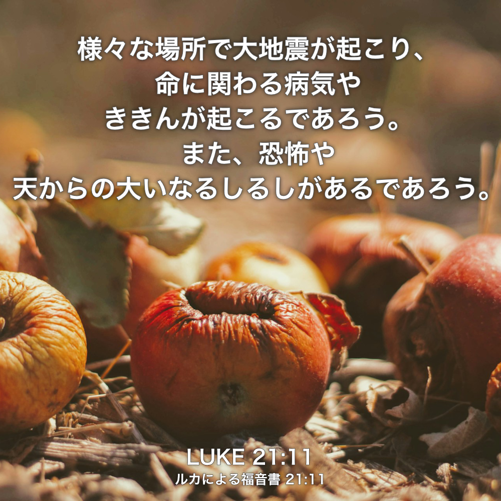 LUKE(ルカによる福音書) 21章11節：様々な場所で大地震が起こり、命に関わる病気やききんが起こるであろう。また、恐怖や天からの大いなるしるしがあるであろう。