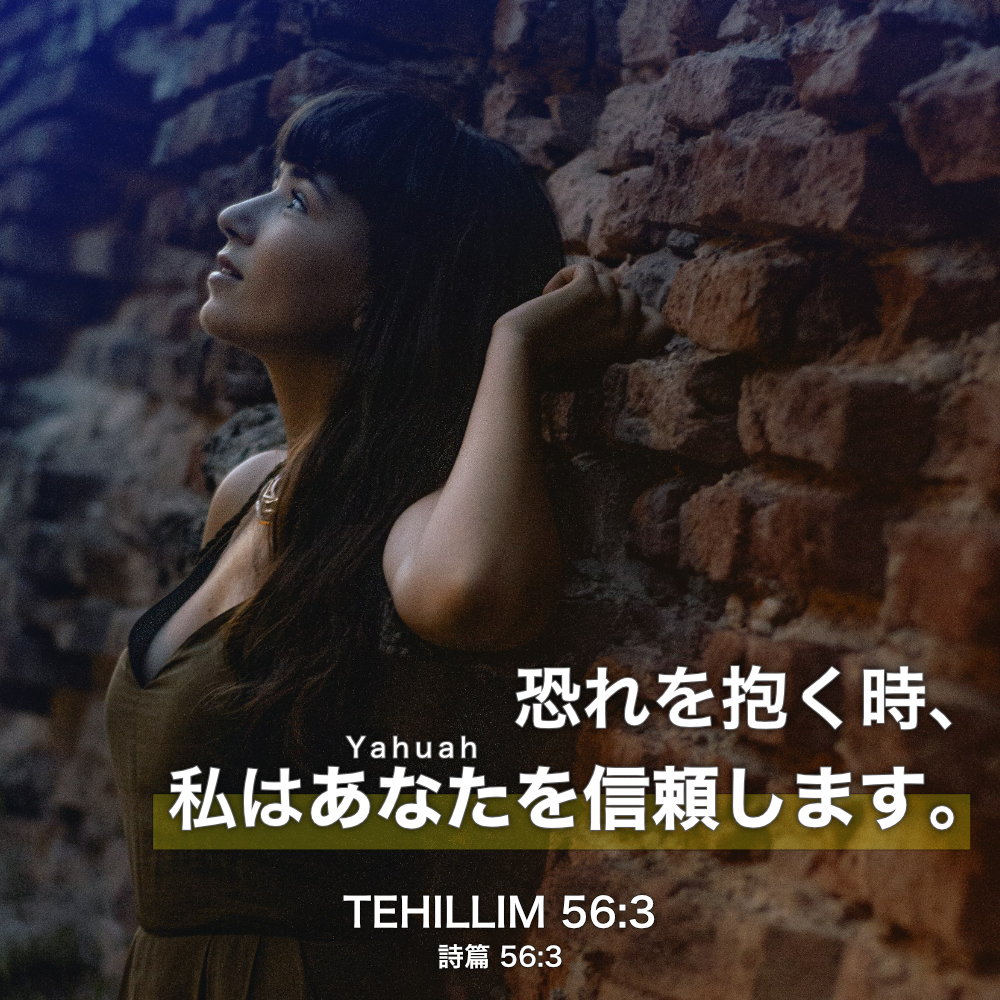 TEHILLIM(詩篇)56章3節：恐れを抱く時、私はあなたを信頼します。