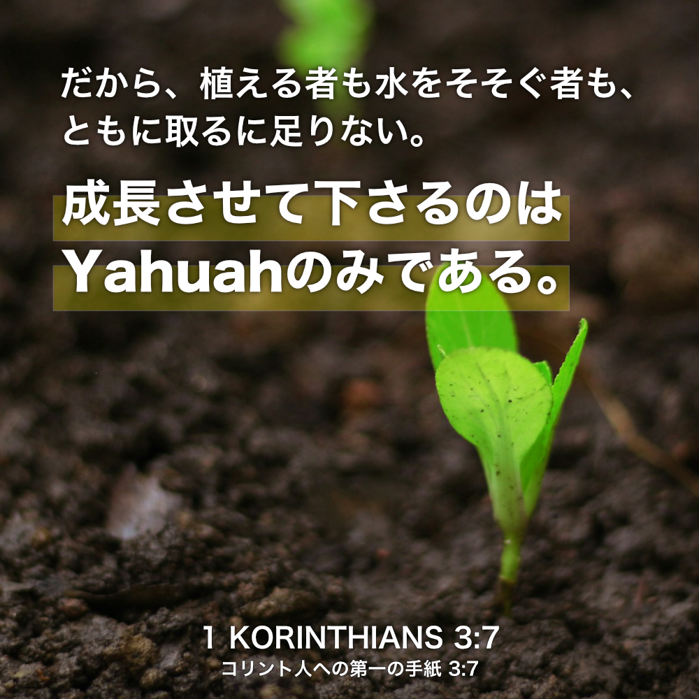 1 KORINTHIANS(コリント人への第一の手紙) 3章7節：だから、植える者も水をそそぐ者も、ともに取るに足りない。成長させて下さるのは Yahuahのみである。