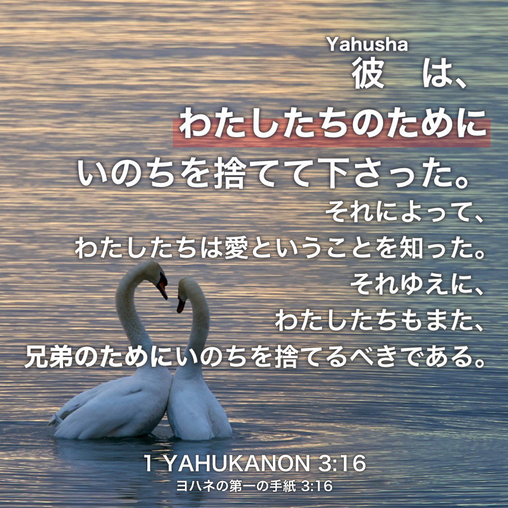 1 YAHUKANON(ヨハネの第一の手紙) 3章16節：彼は、わたしたちのためにいのちを捨てて下さった。それによって、わたしたちは愛ということを知った。それゆえに、わたしたちもまた、兄弟のためにいのちを捨てるべきである。